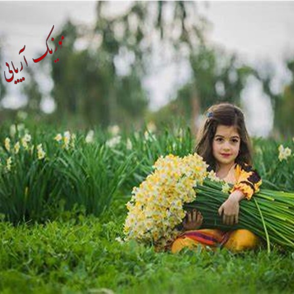 بهبهان