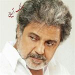 آهنگ به من نگو دوست دارم داریوش